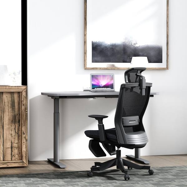Ergonomic Reclining Mesh Office Chair With Headrest And Footrest Overstock 30983267