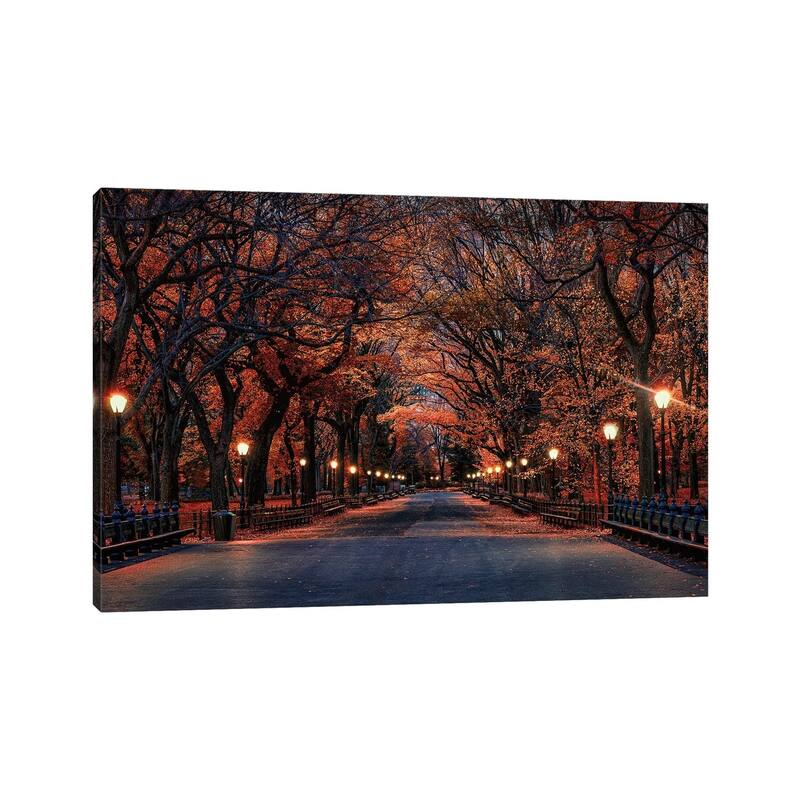 iCanvas "Central Park Fall" by David Gardiner Canvas Print