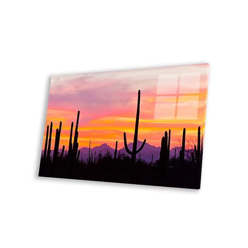 Saguaro Cacti At Sunset I, Saguaro National Park, Sonoran Desert ...