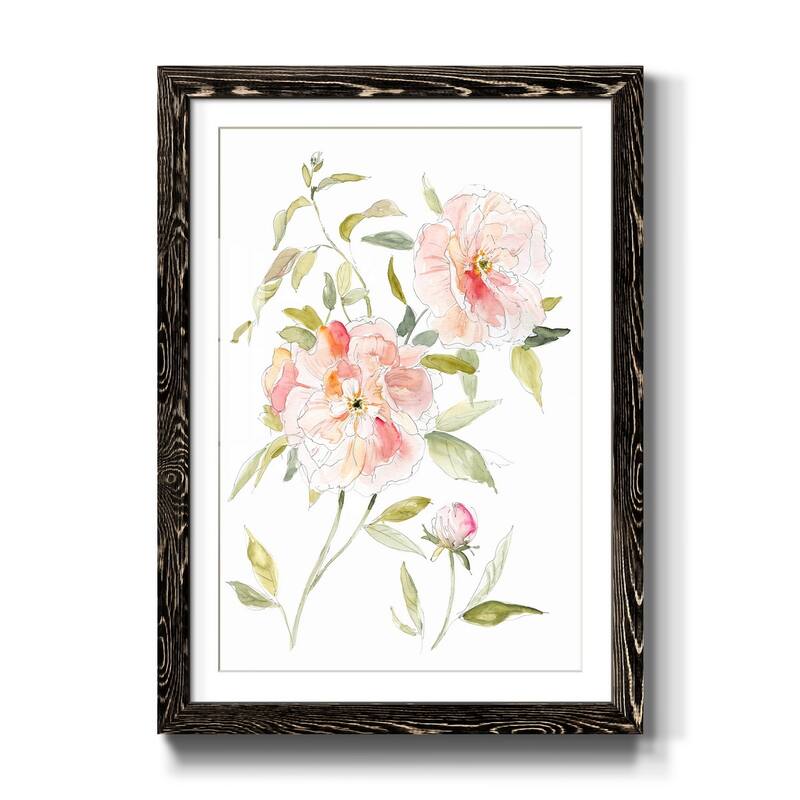 Sketchbook Cottage Rose II-Premium Framed Print - Ready to Hang