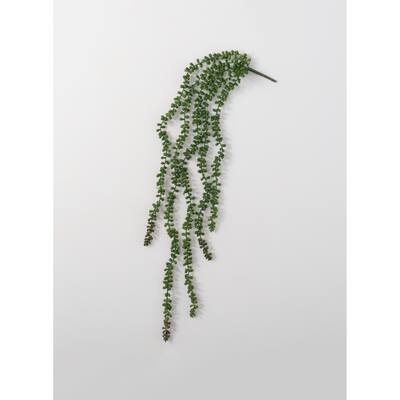 Sullivans Artificial Hanging Succulent Stem 39"H Green - 4"L x .25"W x 39"H