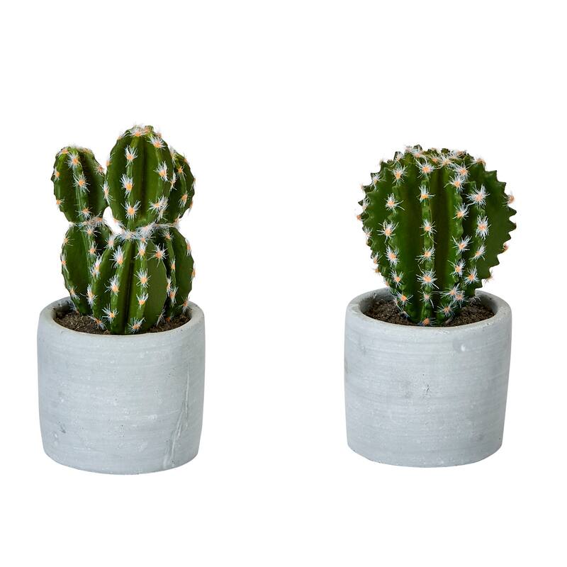 5" Cactus in Cermic Pot, Set of 2 - Green - 5
