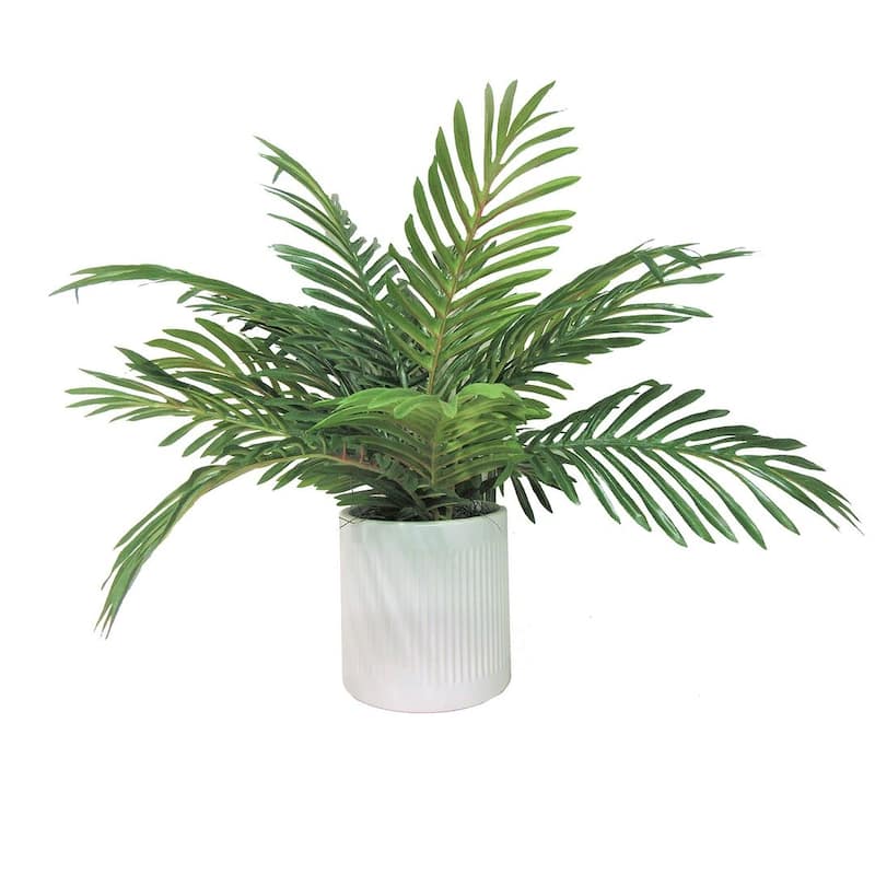 19-inch Artificial Phoenix Palm in Deco White Ceramic Pot