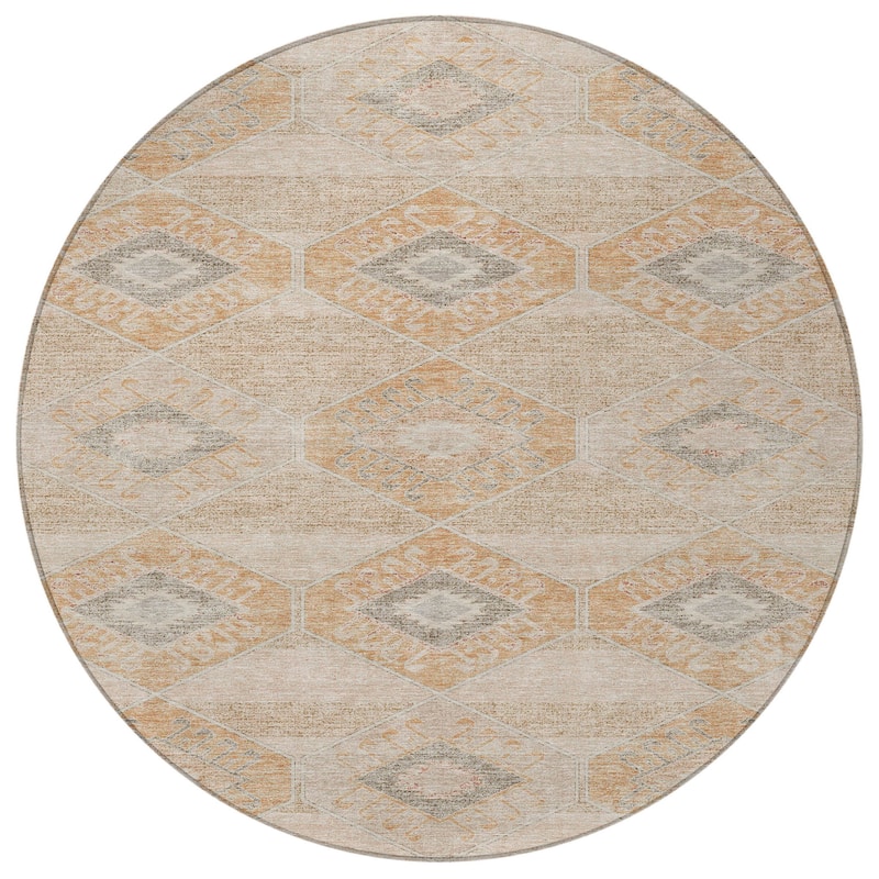 HomeRoots Aztec Transitional Rectangle Outdoor Rug