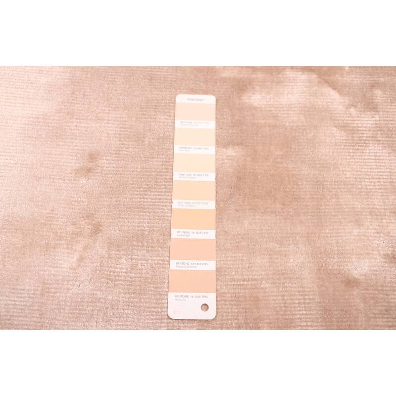 ECARPETGALLERY Hand Loomed Elysian Beige Viscose Rug - 6'6 x 9'9