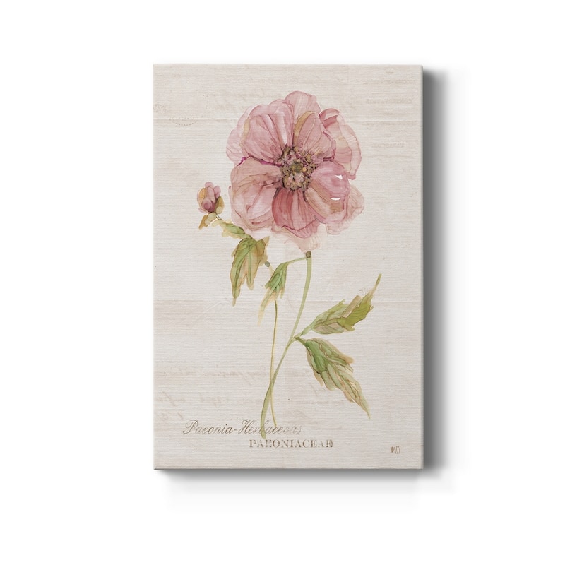 Soft Peony Premium Gallery Wrapped Canvas - Ready to Hang - 8X12