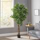 Harney Artificial Tabletop Ficus Tree by Christopher Knight Home - 6' x 2.5'
