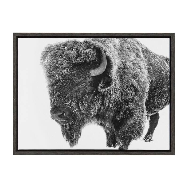 Kate and Laurel Sylvie Bison in Snow Black and White Framed Canvas by Amy Peterson Art Studio