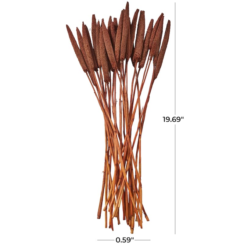 Dried Hogla Babala Bamboo Natural Foliage Collection - Multiple Colors