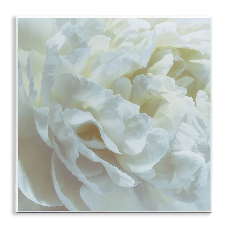 Stupell Elegant White Petals Wall Plaque Art Design By David Pollard - 12 x 12
