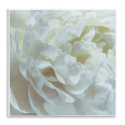 Stupell Elegant White Petals Wall Plaque Art Design By David Pollard