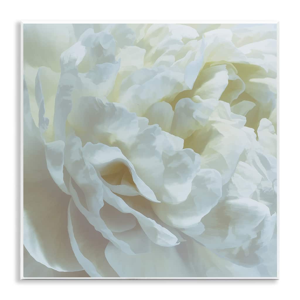 Stupell Elegant White Petals Wall Plaque Art Design By David Pollard