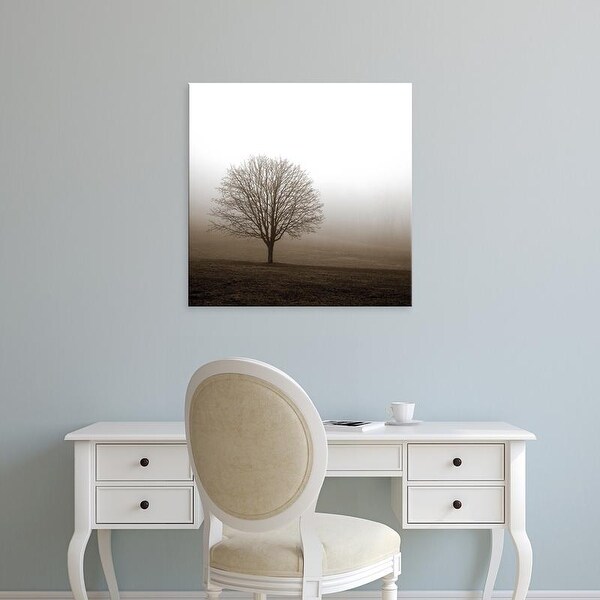 Easy Art Prints PhotoINC Studio's 'Tree in Mist 1' Premium Canvas Art