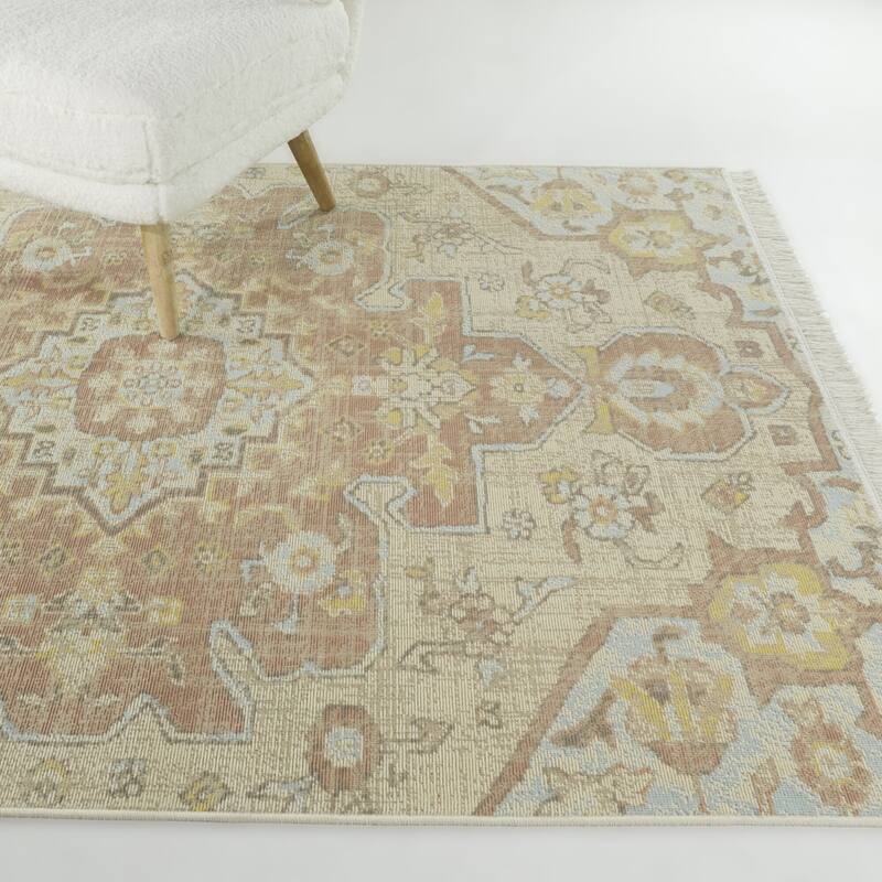 Carius Traditional Medallion Recycled Area Rug