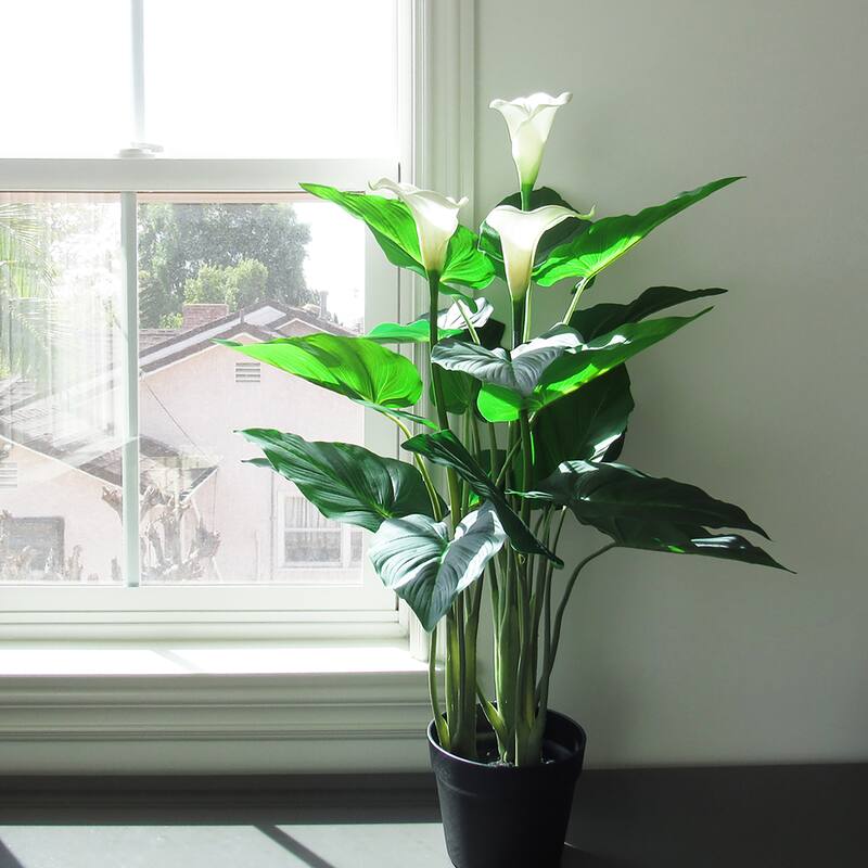 31in Real Touch White Artificial Calla Lily Flowering Plant in Black Pot - 31" H x 20" W x 20" DP