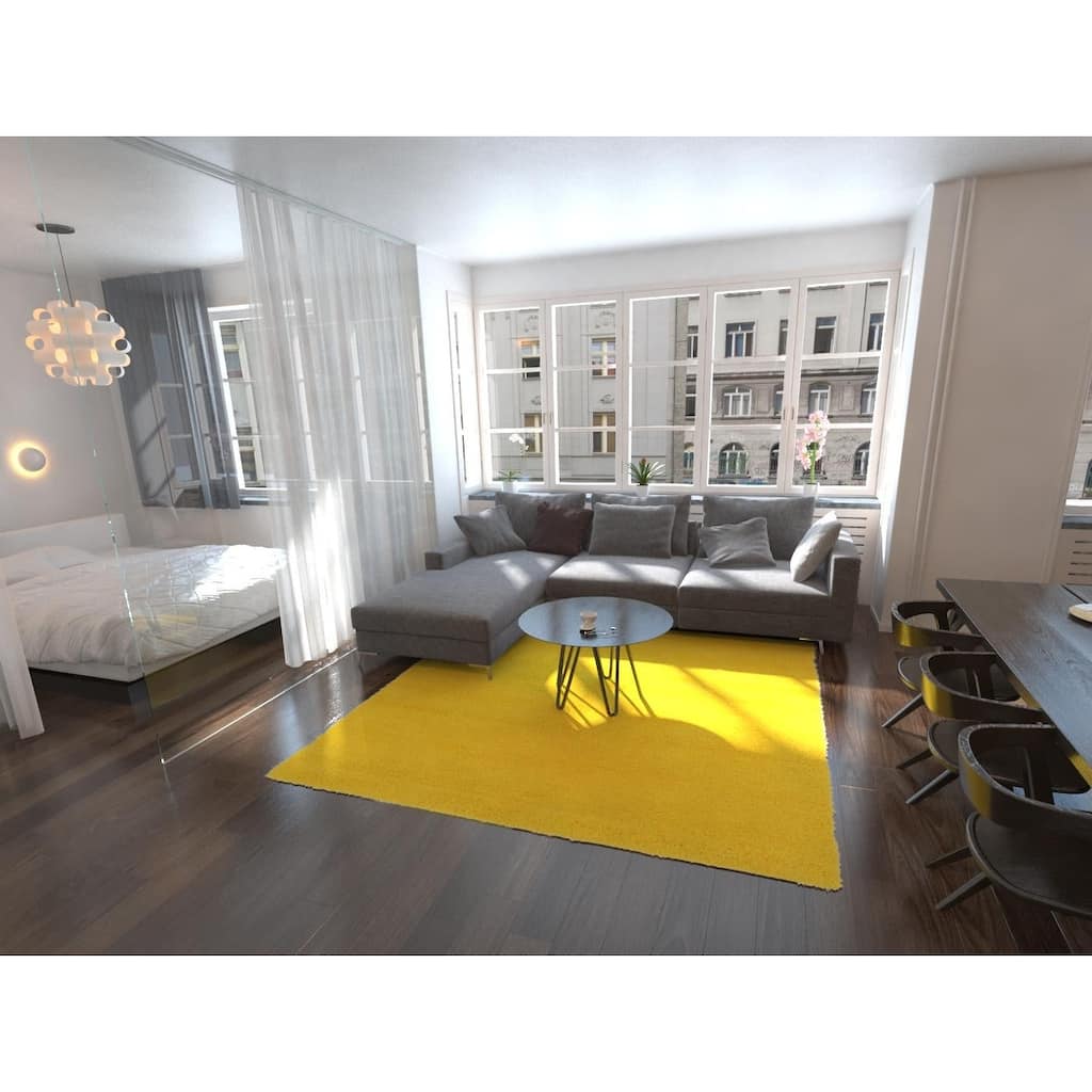 Shag Laurian Collection Area Rug