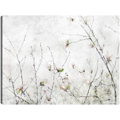 Magnolia Moment By Studio Arts Canvas Art Print