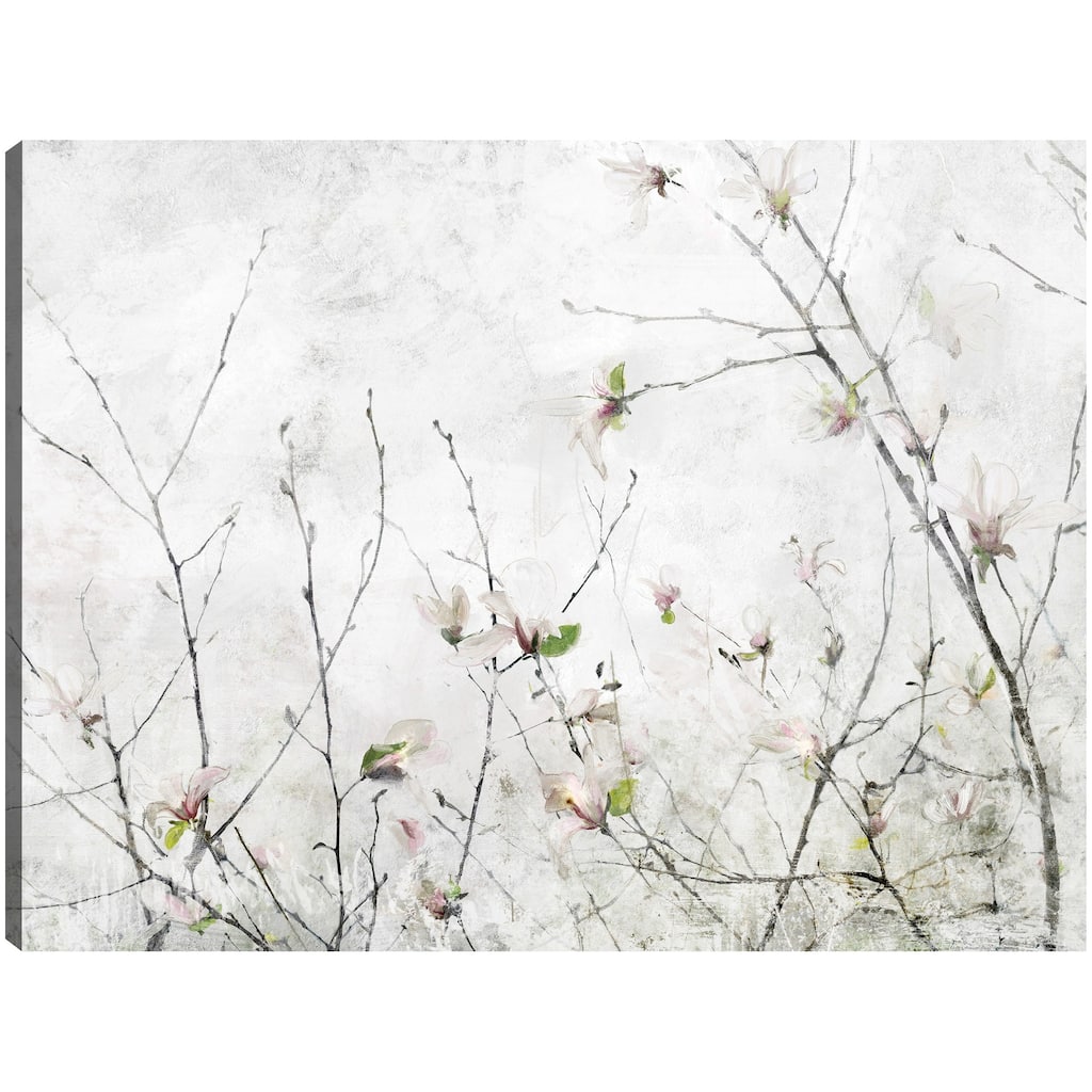 Magnolia Moment By Studio Arts Canvas Art Print