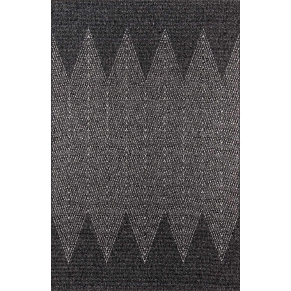 ECARPETGALLERY Machine Woven Raven Indoor/Outdoor Area Rug
