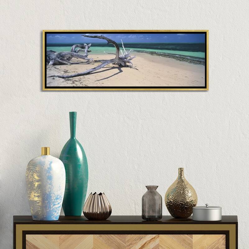 iCanvas "Driftwood on the beach, Green Island,Great Barrier Reef, Queensland, Australia" by Panoramic Images Framed Canvas Print