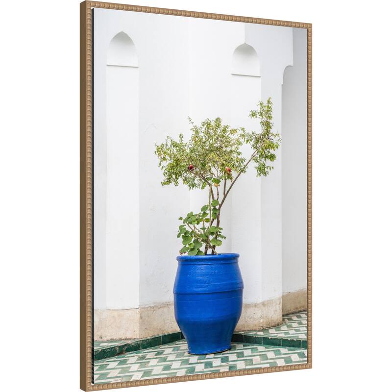 Apple Tree in Morocco by Photolovers Framed Canvas Wall Art Print