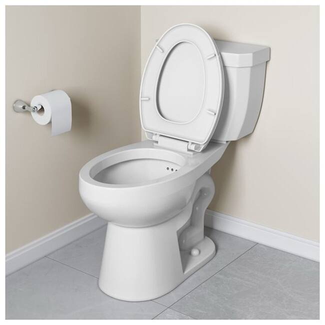 PROFLO PF2403 Reston ADA Compliant Elongated Toilet Bowl Only