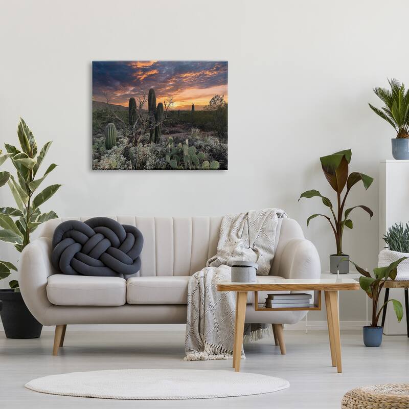 Stupell Arid Desert Cactus Sunset Stretched Canvas Wall Art, Design by Nathan Larson