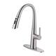 Option Brushed Nickel