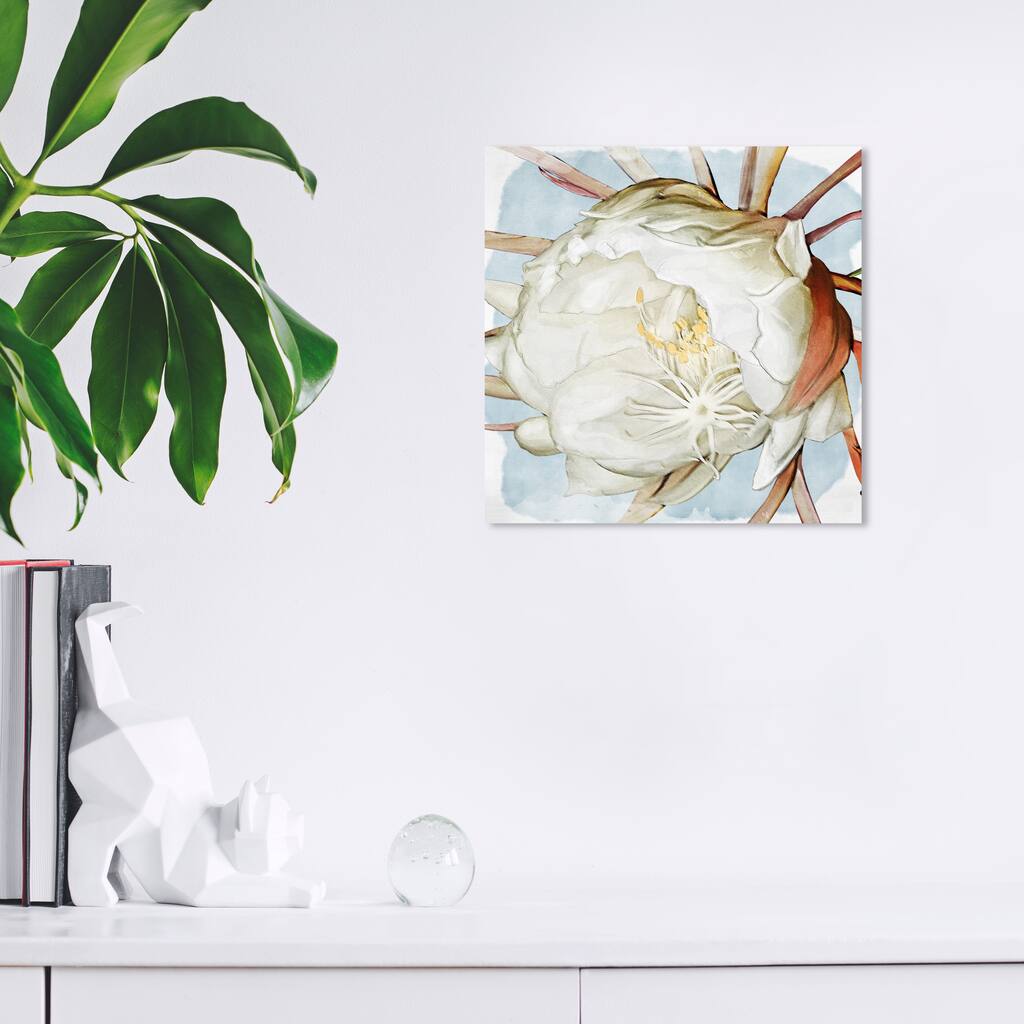 Wynwood Studio Canvas Floral and Botanical Latenight Blossom White and Farmhouse Wall Art Canvas Print