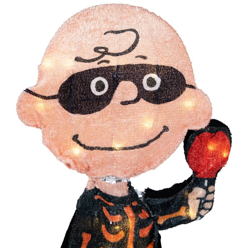 LED Lighted Charlie Brown Bones Outdoor Halloween Yard Decoration - 18"