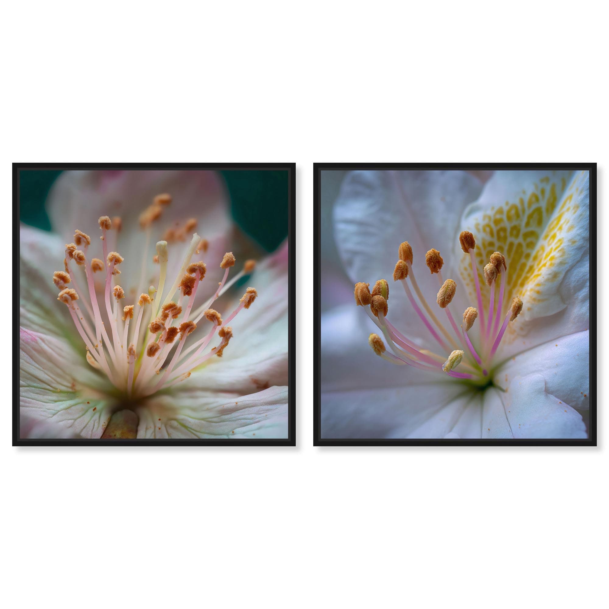 Tranquility Botanical Farm Art Set of 2 Canvas Print by Art Remedy