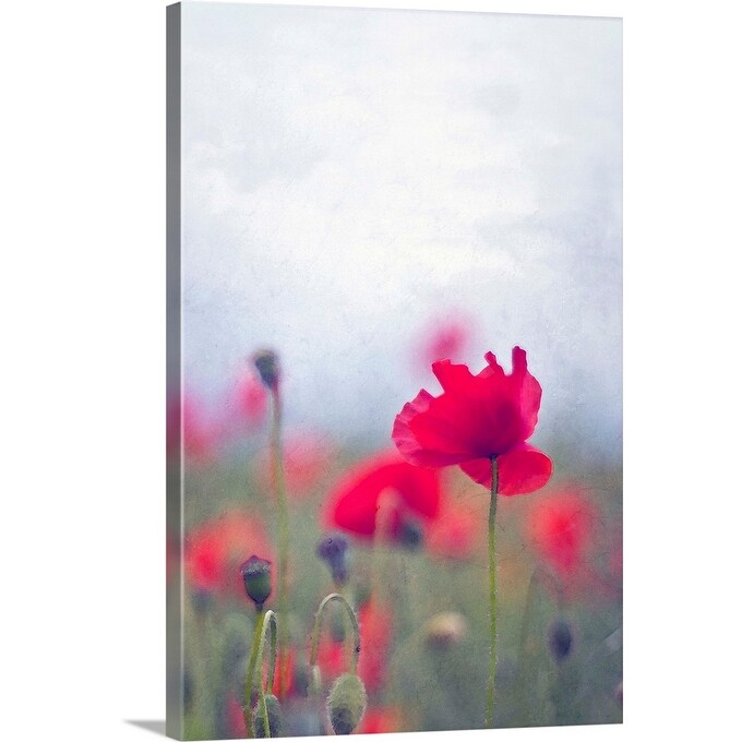 Shop Wild Red Poppies With Single Poppy In Focus Canvas Wall