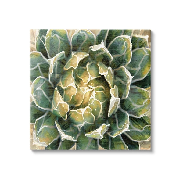 Stupell Leafy Succulent Plant Nature Canvas Wall Art by Lindsay Benson - On  Sale - Bed Bath & Beyond - 37878234