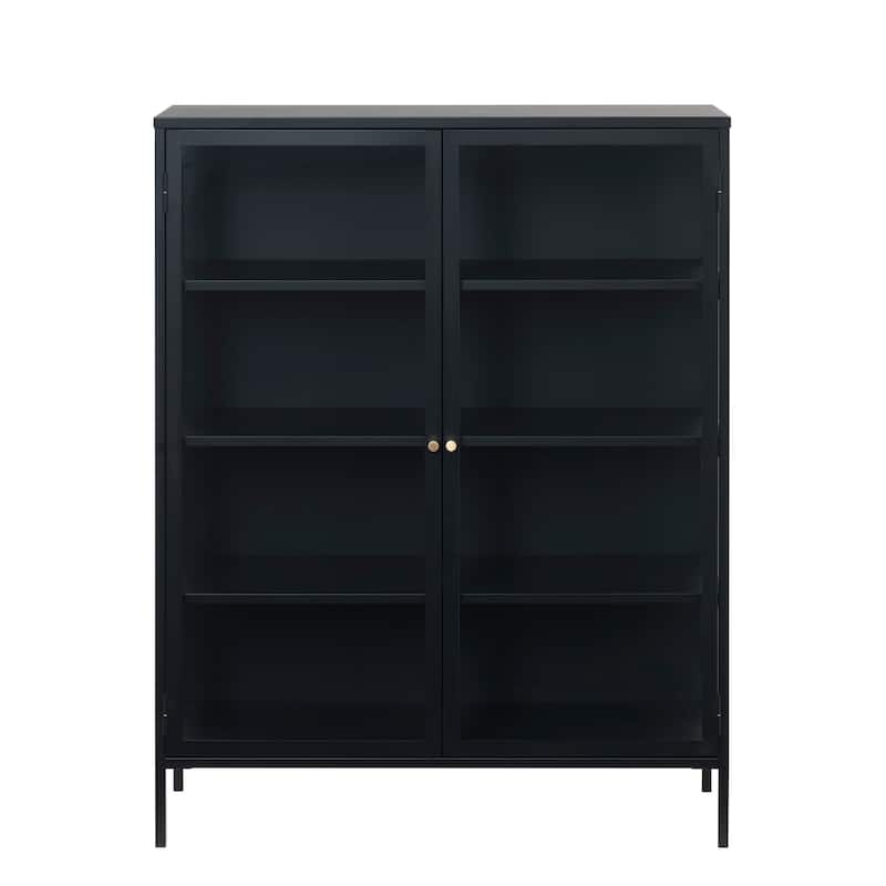 Rye Studio Cairyn Modern Glass and Metal Cabinet
