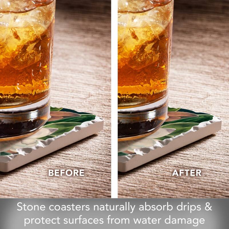 4-Pack Absorbent Stone Coasters with Protective Cork Backing 4" Square Made in The USA Easily Wipes Clean