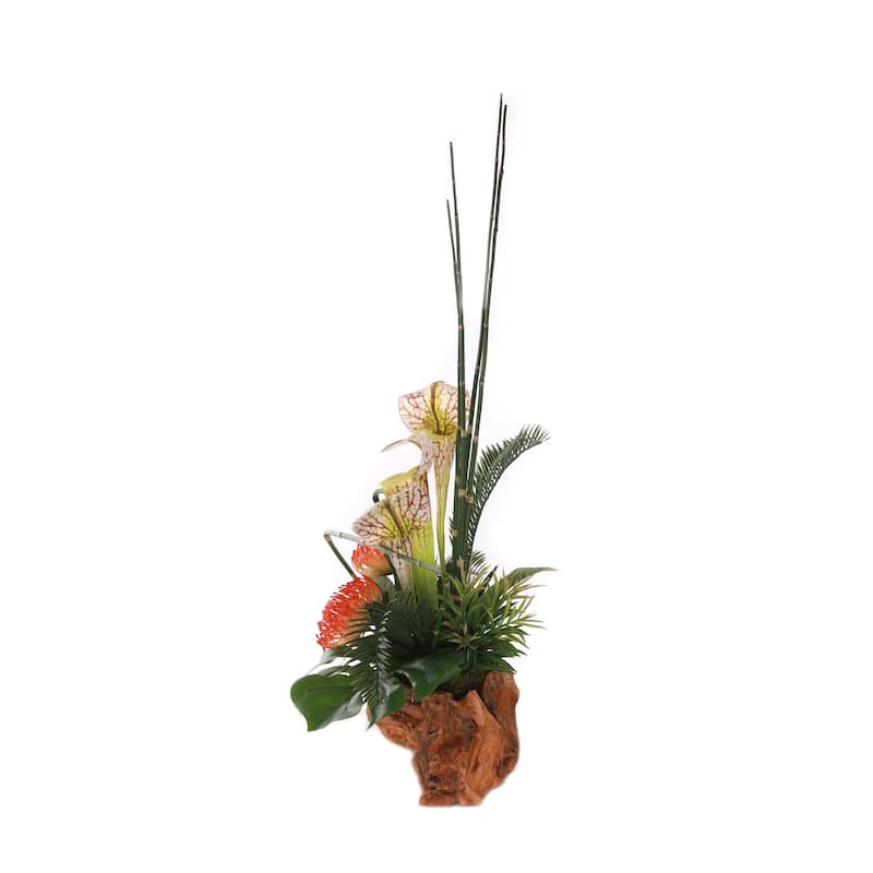 High Style Ikebana Tropical Arrangement in Natural Rustic Wood Bowl - Orange, green, cream burgundy