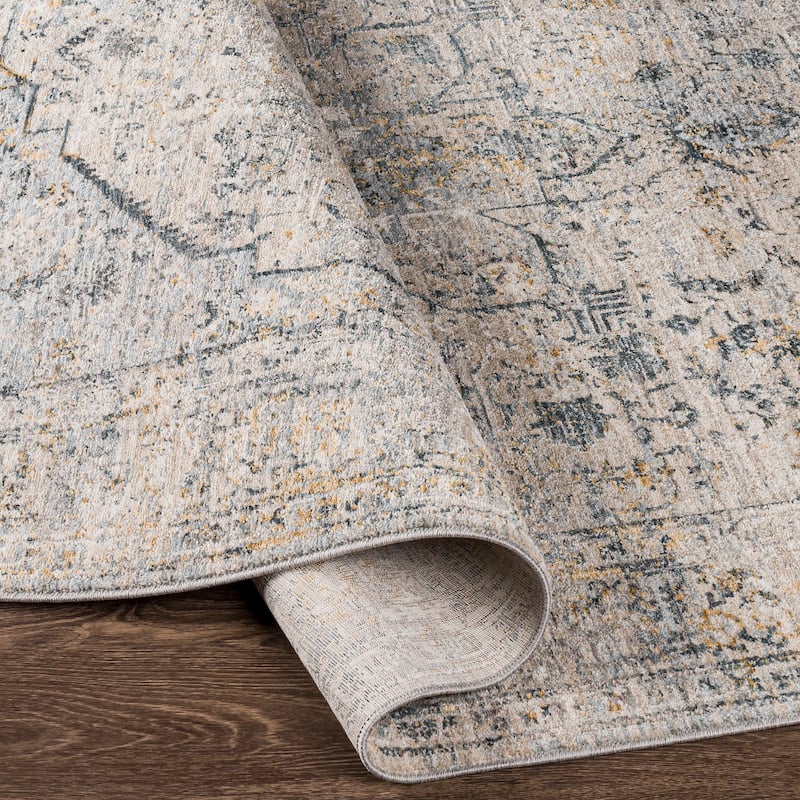 Artistic Weavers Cassidy Traditional Area Rug