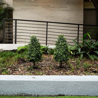 Boxwood Artificial Plants with Stakes - 2.5' - Green - Set of 2