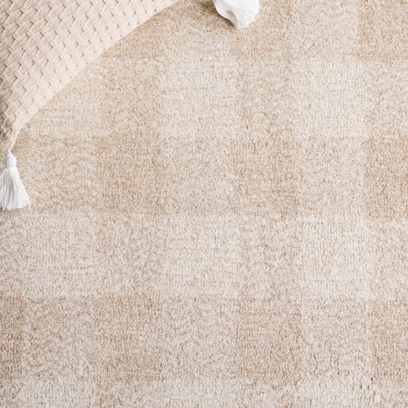 SAFAVIEH Handmade Genre Majlinda Farmhouse Gingham Wool Rug