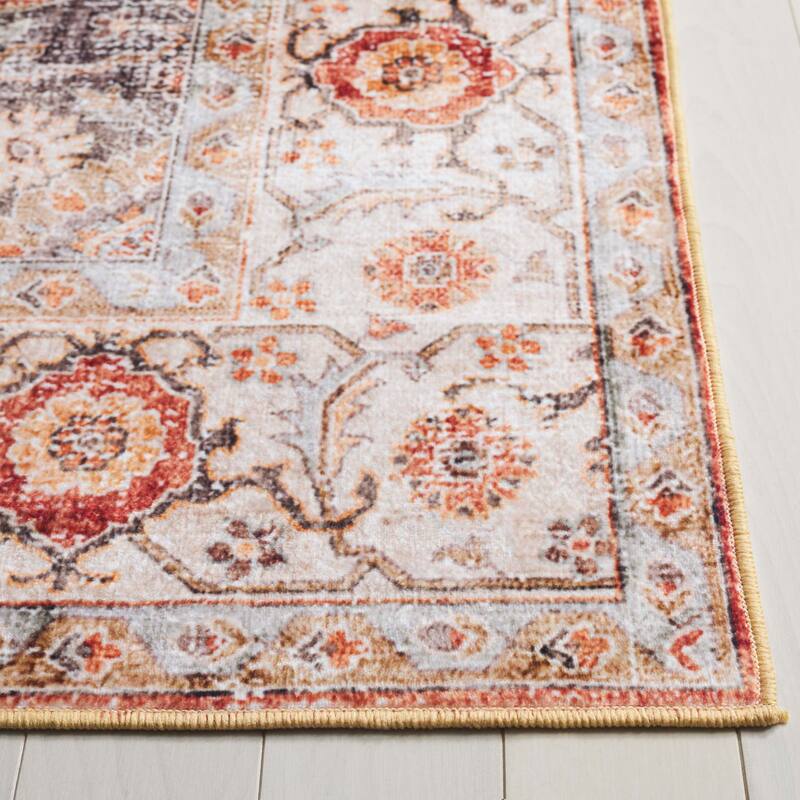 SAFAVIEH Arizona Minica Vintage Rug