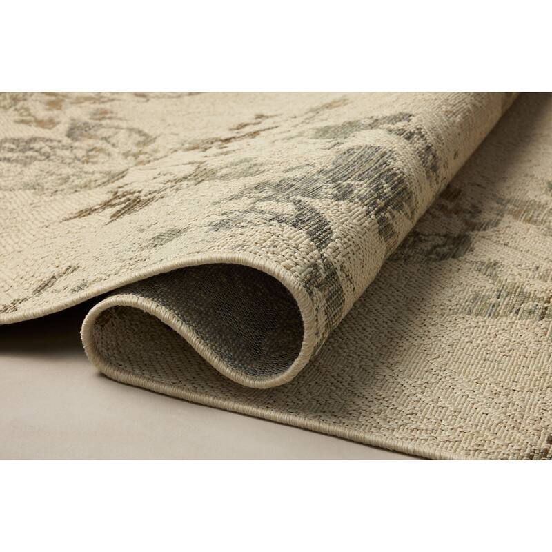 Alexander Home Saoirse Indoor/Outdoor Area Rug