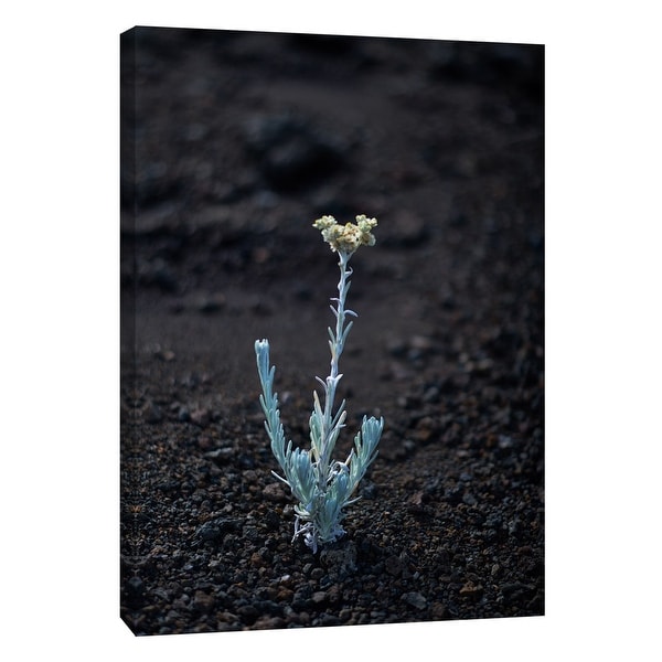 PTM Images 9-108355 PTM Canvas Collection 10" x 8" - "Hawaii Flower C" Giclee Flowers Art Print on Canvas