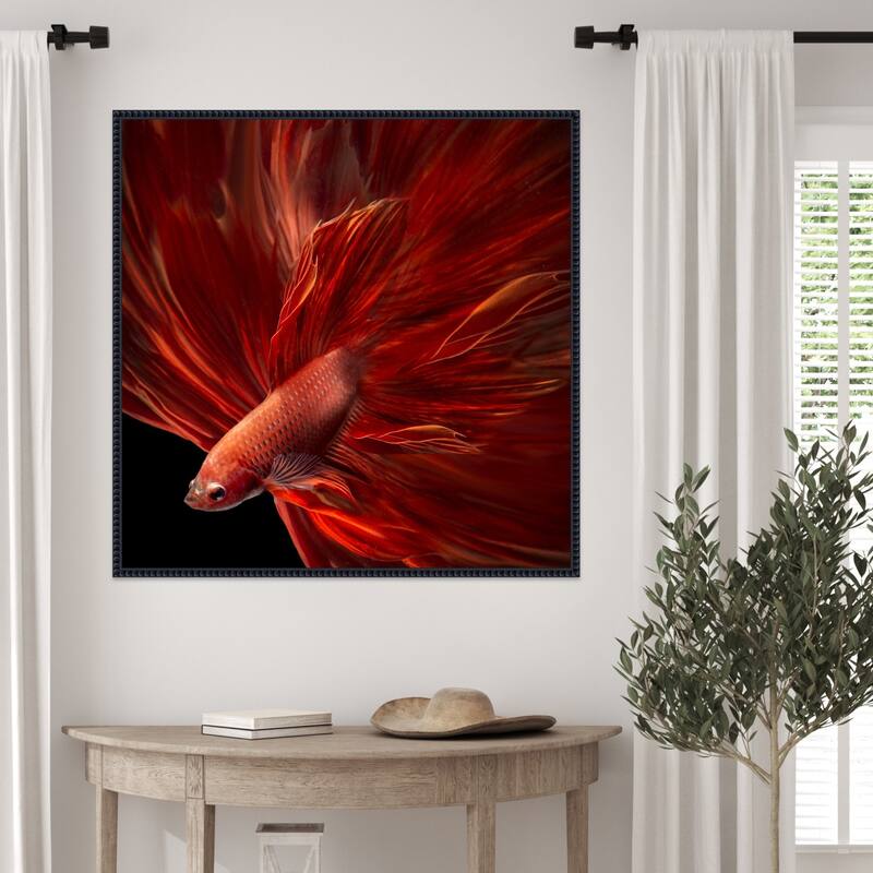 Red Fire Betta fish by Antonyus Bunjamin Framed Canvas Wall Art Print