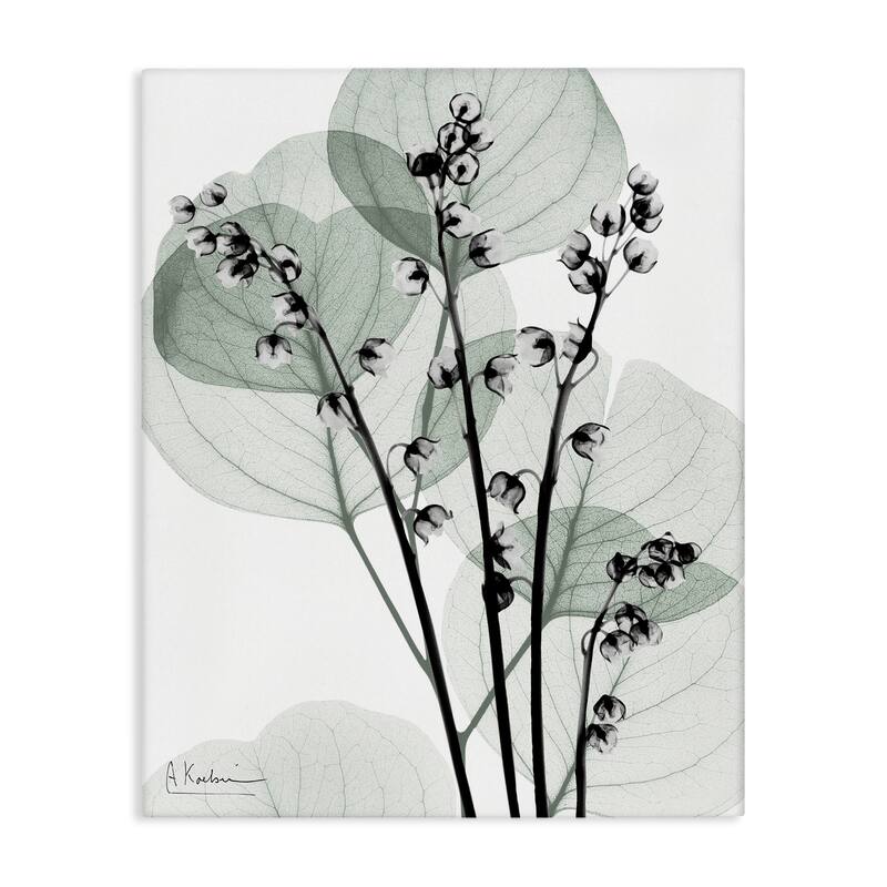 Stupell Fresh Minimalist Herbs Canvas Wall Art Design By Albert Koetsier - 24 x 30