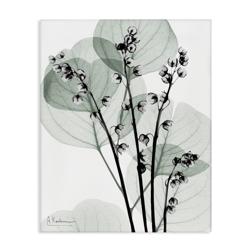 Stupell Fresh Minimalist Herbs Canvas Wall Art Design By Albert Koetsier