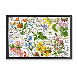 Stupell Various Herbs Benefits Framed Floater Canvas Wall Art Design By ...