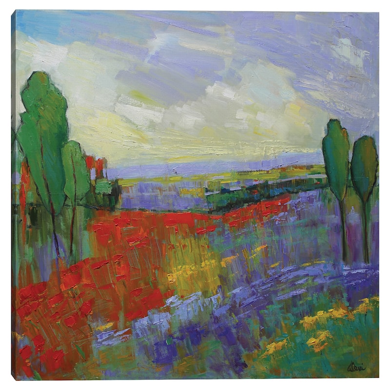 Poppy Field Valley by Alexi Fine Canvas Art Print