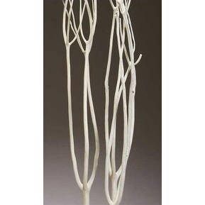 Shop Mitsumata Branches 4 Decorative Branches Bleached White