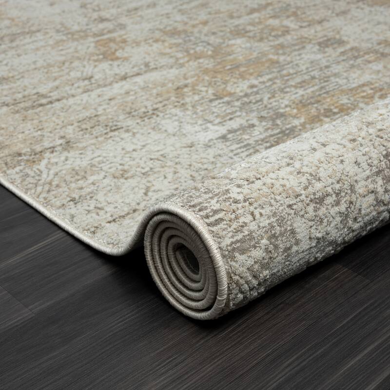Bailey Transitional Distressed Beige/Brown Performance Indoor Area Rug by Sevita
