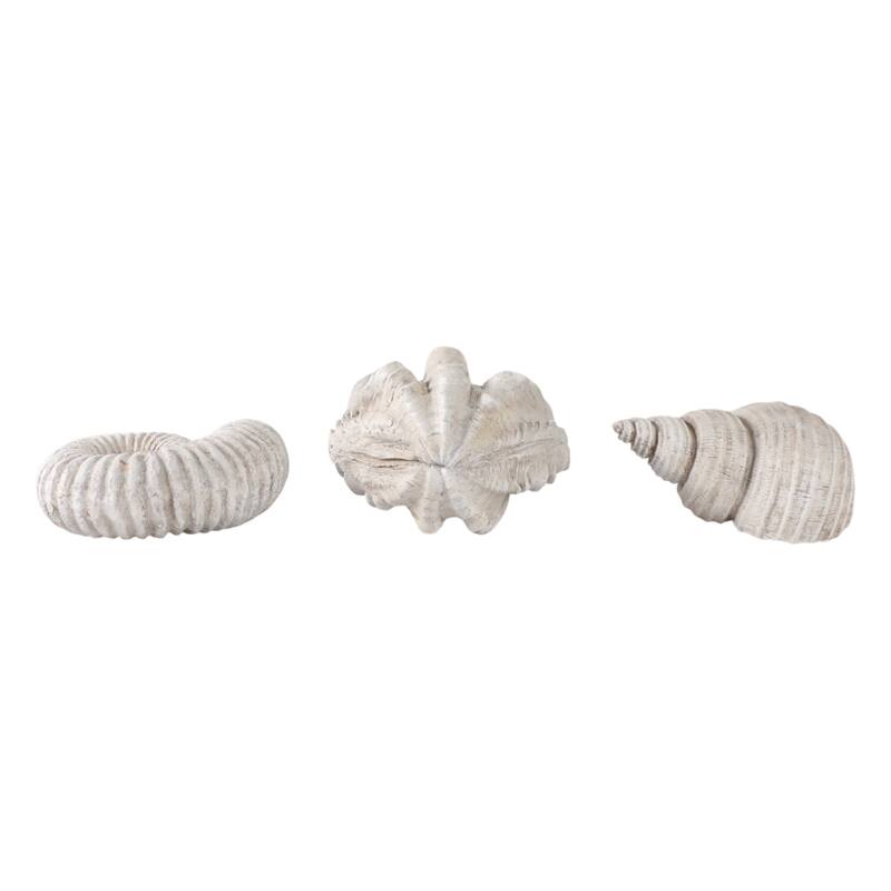 Polyresin Sculpture Coastal Shell Design (Set of 3) - 5/3" Ivory - 6.25" x 4.5" x 4.75"